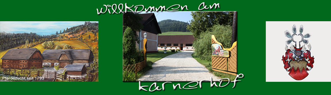 zur Startseite
